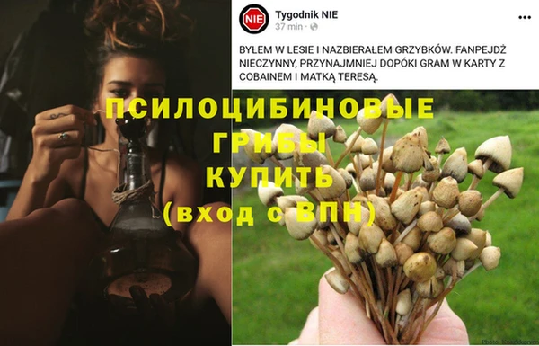 альфа пвп Волосово