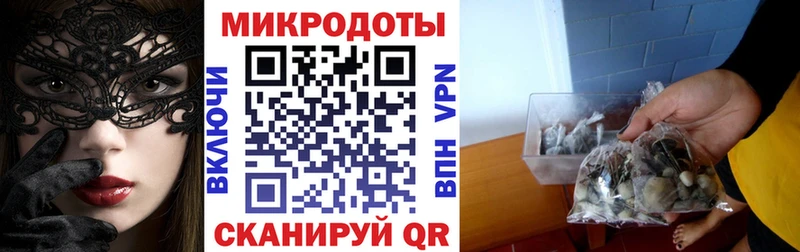 Псилоцибиновые грибы Psilocybe  где продают   Чистополь 